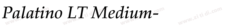 Palatino LT Medium字体转换